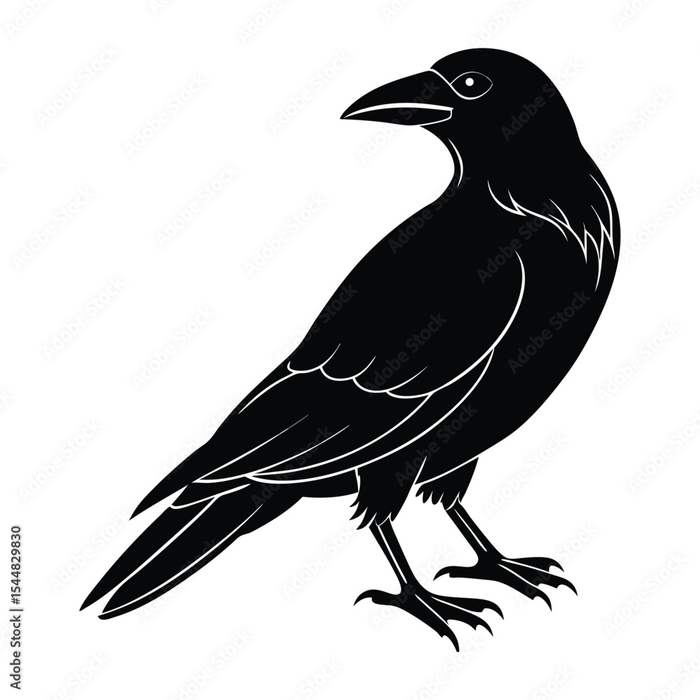 Fototapeta premium Crow silhouette vector art illustration