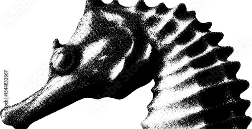 Black and white high contrast seahorse silhouette design for marine art projects