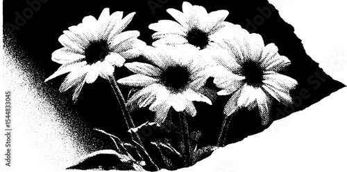 Shattered garden planter with daisies high contrast artistic design