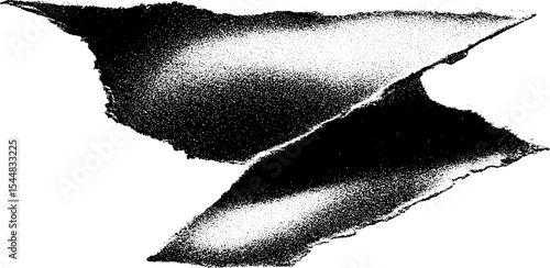 High contrast shattered vinyl concept in black and white for artistic design