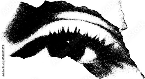 Black and white abstract eye design with high contrast for modern art