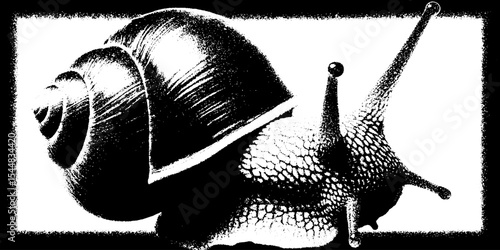 Abstract high contrast snail shell black and white art for modern design