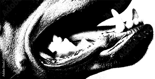 Aggressive doberman with studded harness in high-contrast art style