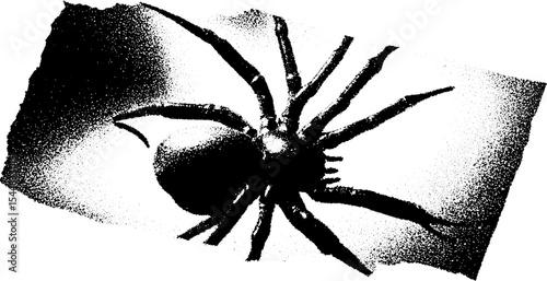 High contrast abstract black and white spider brooch design for jewelry inspiration