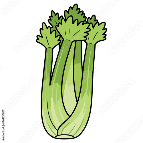 Celery vector illustration, simple design