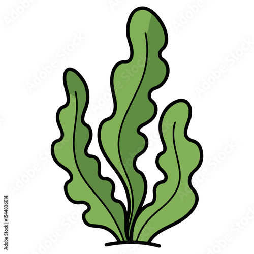 Seaweed vector illustration, simple design