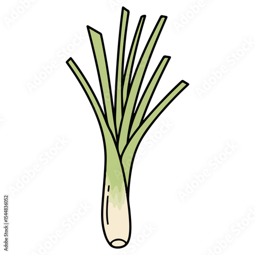 Lemongrass vector illustration, simple design