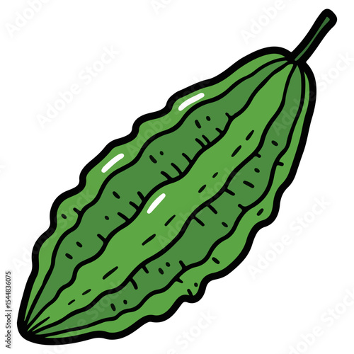 Bitter melon vector illustration, simple design