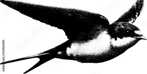 Swallow silhouette in high contrast black and white for nature design