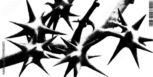 Thorned bramble cluster in high contrast black and white for artistic design