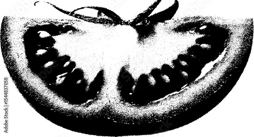 Abstract black and white tomato slice in high contrast design for artistic concept