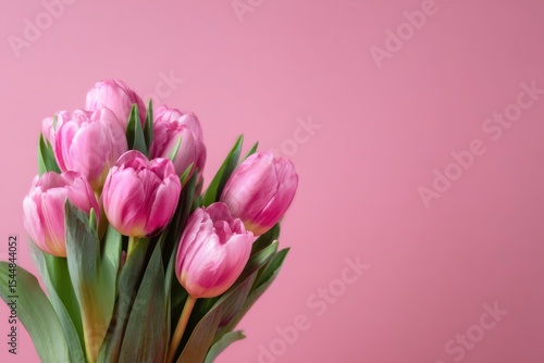 Wallpaper Mural Bouquet of pink tulips with green leaves against a pink background Torontodigital.ca