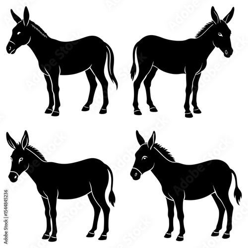 Four black silhouette images of donkeys standing in various poses on a white background plain style design