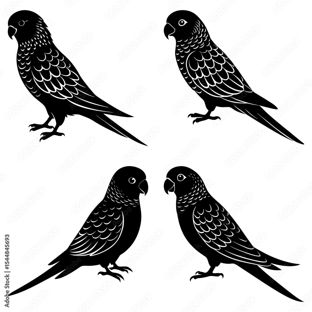 Fototapeta premium Four stylized black parrots with detailed feather patterns arranged symmetrically on a white background