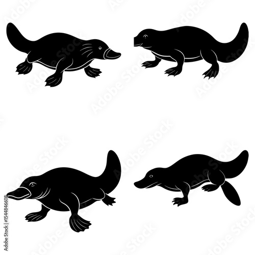 Four black platypus silhouettes in various poses on a white background showcasing unique animal shapes