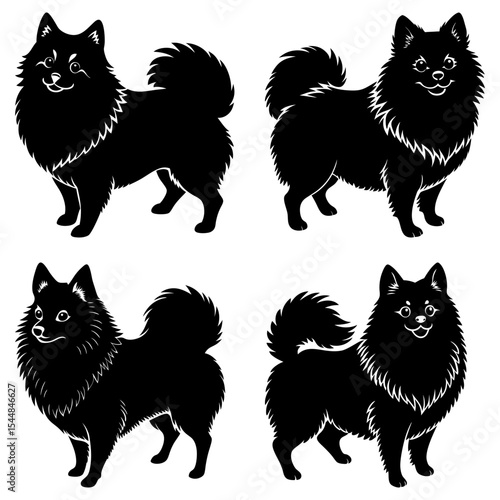 Four black spitz dogs in different poses with fluffy tails and thick fur in a vector illustration style