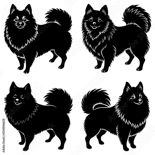 Four black spitz dogs with fluffy tails standing on a white background in a vector illustration