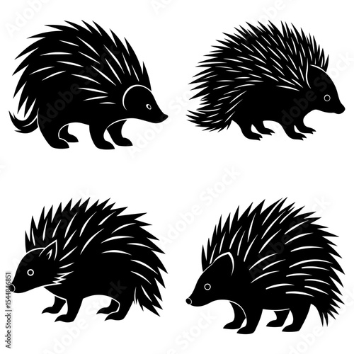 Four black silhouette images of echidnas with sharp quills in various poses against a white background