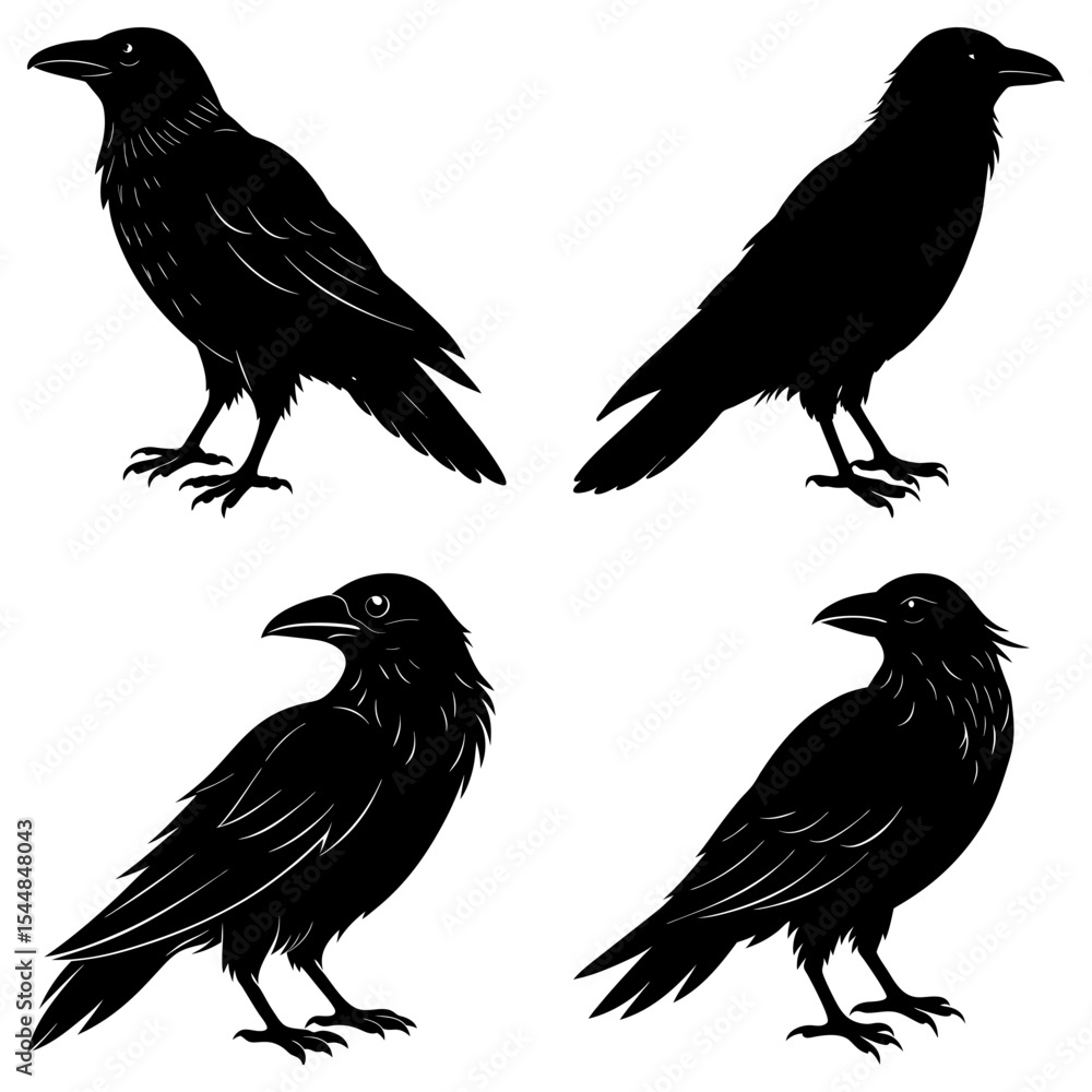 Fototapeta premium Four silhouette ravens standing in various poses against a white background illustration art