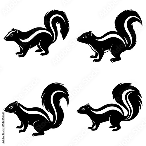 Four skunks in black and white with bushy tails in different poses facing different directions here