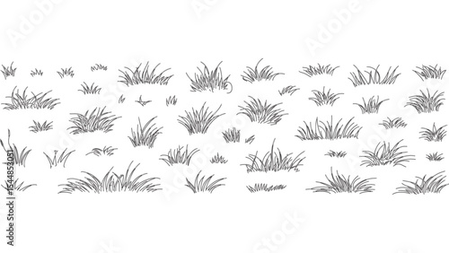 Realistic grass set in detailed black line drawing