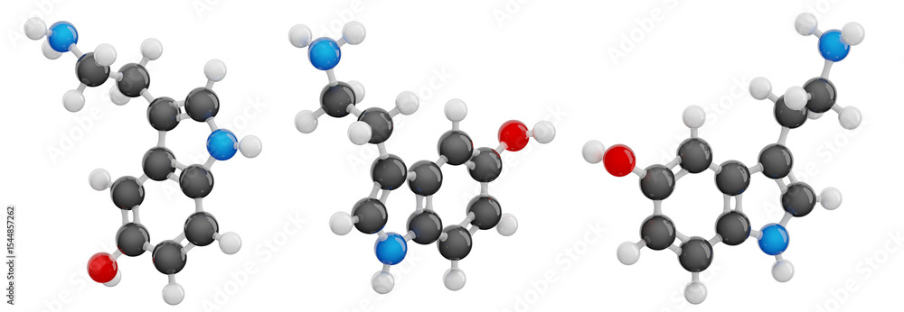 Serotonin isolated on transparent background. Set of views presenting detailed 3D model of the neurotransmitter molecule. Molecular formula: C10H12N2O. Chemical model: Ball and Stick. 3d illustration Serotonin isolated on transparent background. Set of views presenting detailed 3D model of the neurotransmitter molecule. Molecular formula: C10H12N2O. Chemical model: Ball and Stick. 3d illustration