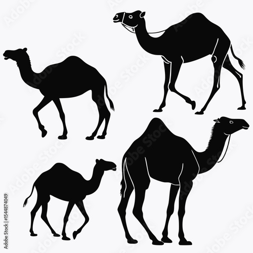 Camel Silhouette Vector Sheet - Accurate Proportions Minimalist Black on White