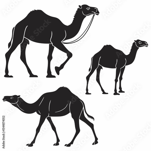 Camel Silhouette Vector Sheet - Accurate Proportions Minimalist Black on White