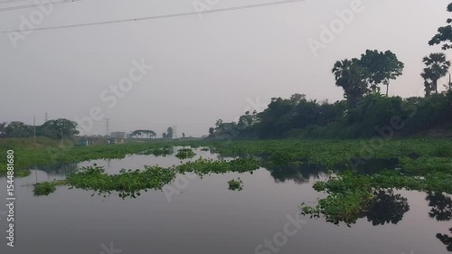 misty morning on the river