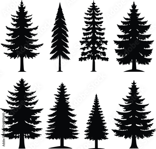 Silhouette of Evergreen Trees Set on White Background,Pine fir tree tall tree isolated premium vector image, black and white tree silhouettes,coniferous trees, pine trees,fir trees silhouettes set,Ai