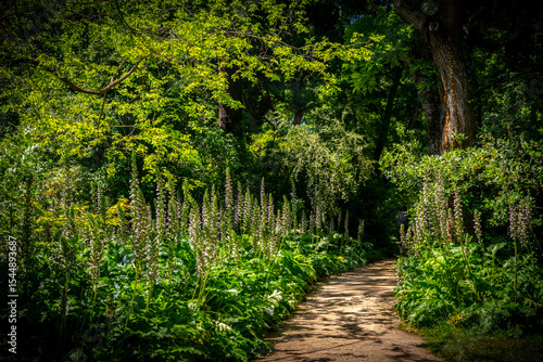 El Capricho Park - Madrid
