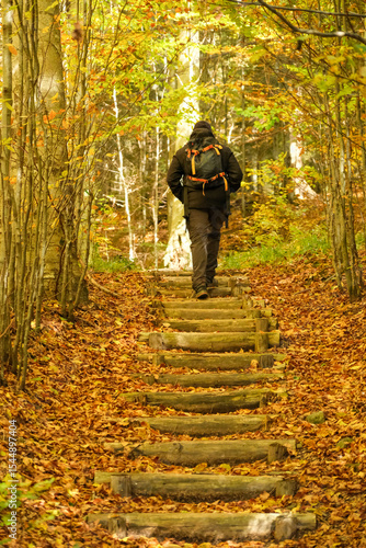 Hike in the autumn forest in mountains