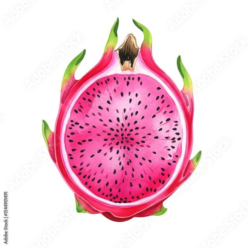 Half Cut Dragon Fruit Isolated on Transparent PNG Background - Watercolour Art