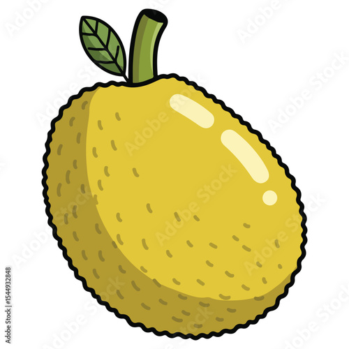Jackfruit vector illustration, simple design