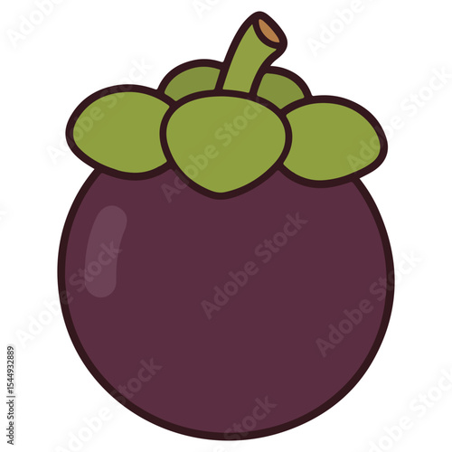 Mangosteen vector illustration, simple design