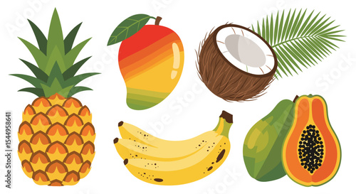 Illustration of a variety of tropical fruits including pineapple, mango, coconut and papaya