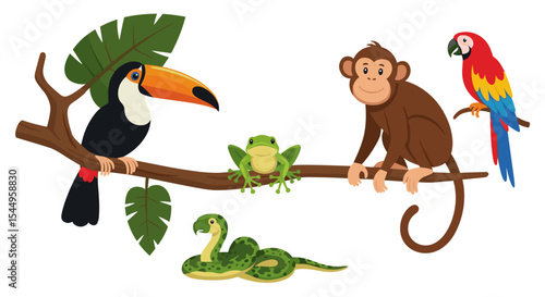 Illustration of a toucan, monkey, parrot, frog, and snake on a branch in the jungle