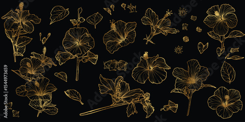 Vector line art of magnolia with a golden touch. Hand drawn high quality and detailed magnolia. Elegant spring flowers for print and online. Luxurious flowers for card, invitations, wallpapers