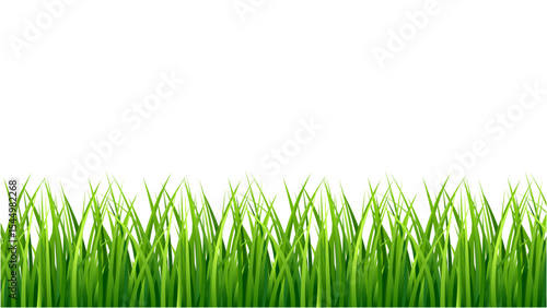 Transparent background detailed green grass border, perfect for natural and spring-themed designs.
