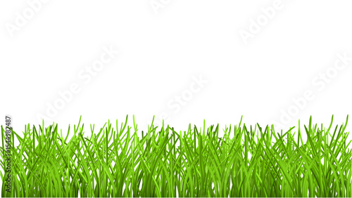 Transparent background realistic green grass border, ideal for nature and outdoor themes.
