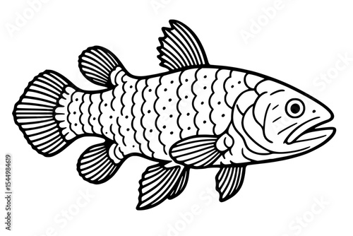 Coelacanth Vector Drawing