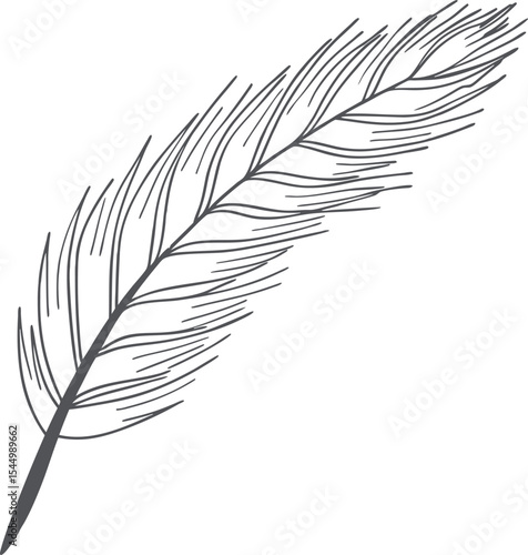 Hand-drawn single feather outline in minimal black line style on white background. Elegant nature-inspired sketch illustration for stationery, branding, and digital design use.