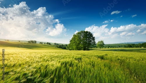 summer sale landscape countryside tree field cloud nature scene