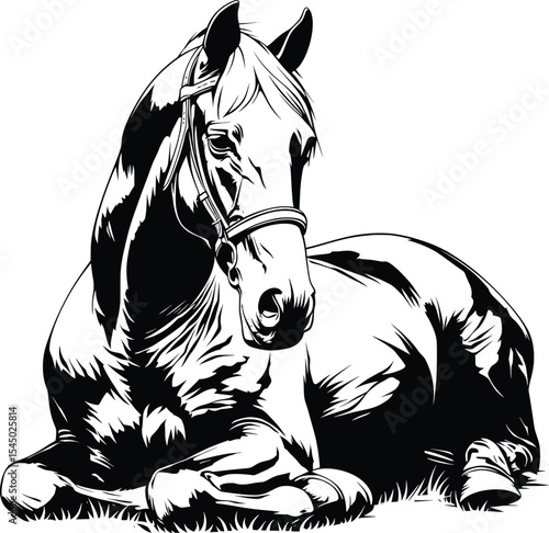 Horse Resting Lying Down Black White Line Art