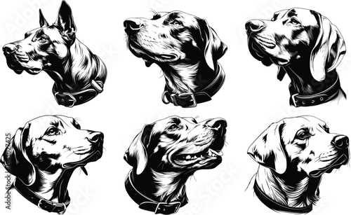 Multiple Dog Breed Head Collection Black White Line Art Variety