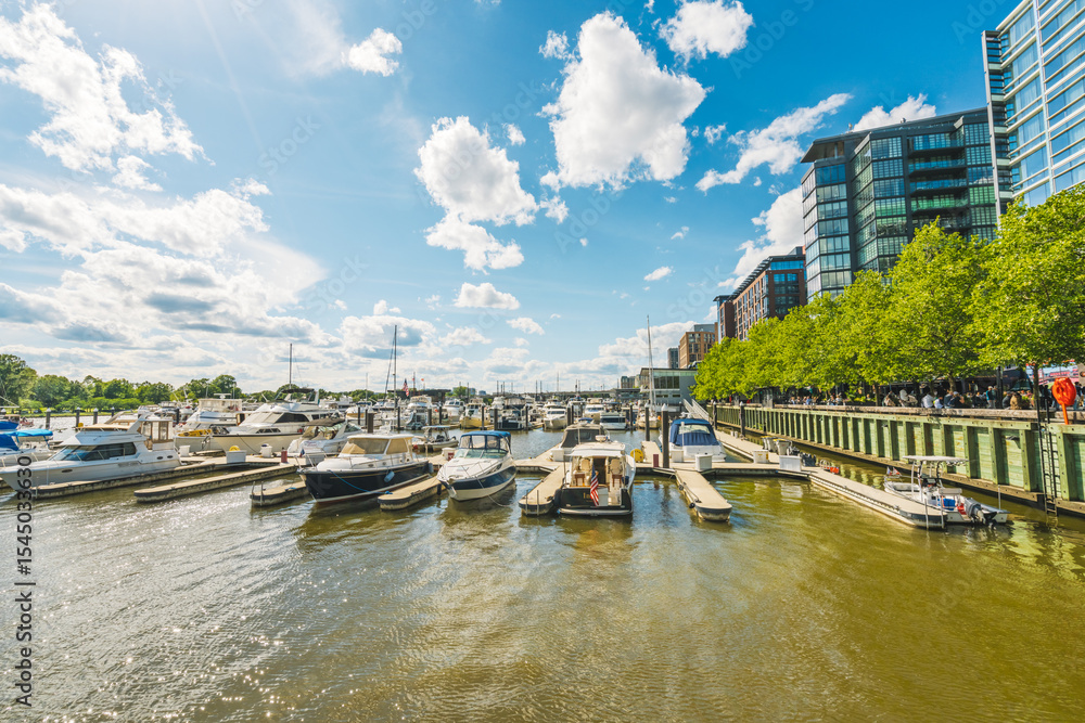 Naklejka premium Marina at the Wharf filled with boats and blue skies in Washington D.C.