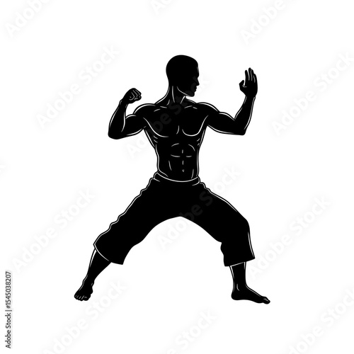 Martial artist silhouette defense themes combat athlete fighting pose stance martial arts self