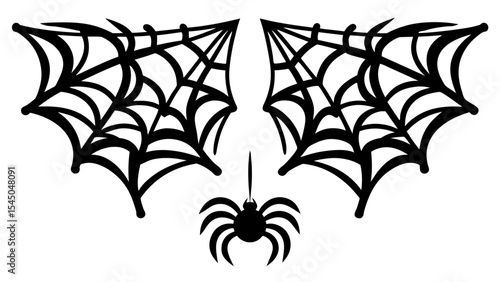 Scary spider and poisonous spider top frame