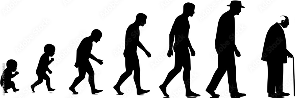 custom made wallpaper toronto digitalLife cycle of a man growing from birth to death life stages silhouette. Life cycles of man aging from a little baby to old senior man vector silhouette.