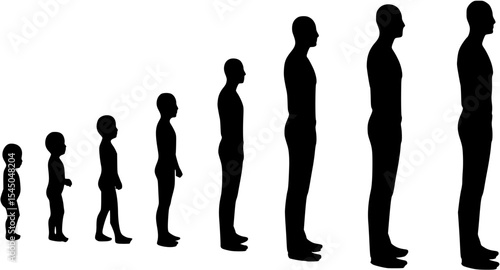 Life cycle of a man growing from birth to death life stages silhouette. Life cycles of man aging from a little baby to old senior man vector silhouette.